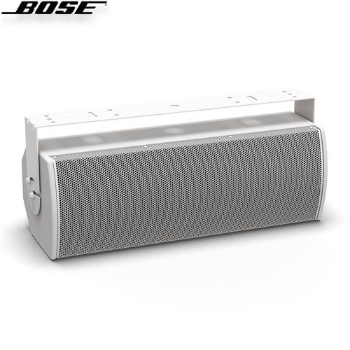 Loa Bose ArenaMatch Utility AMU208 2
